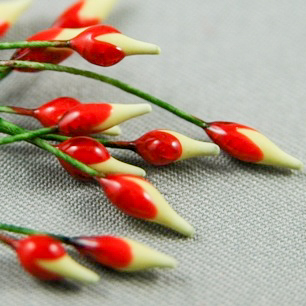 Flower stamens